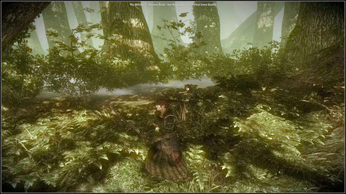 Iorweth, asked about Roche, will memorize his fight with him - The Floating Prison - Main missions - The Witcher 2 Assassins of Kings Guide