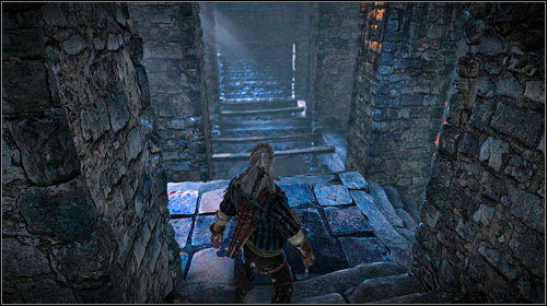 After getting out of the room, you will once again see the ghost (M10, 6), this time going through fire - In the Claws of Madness (steps 1-7) - Side missions - The Witcher 2 Assassins of Kings Guide