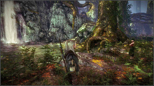 If you decide to lie, the elf will be grateful and will want to thank you - Malena - Side missions - The Witcher 2 Assassins of Kings Guide