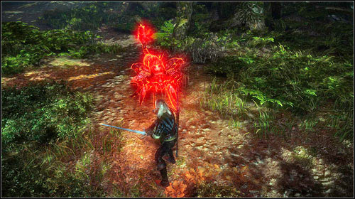 The Endrega Fetus: Endregas can be found in the woods - Meliteles Heart | Act I side missions - Side missions - The Witcher 2 Assassins of Kings Guide