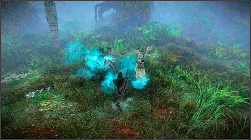 Confirm your readiness and Anezka will start the ritual - Meliteles Heart | Act I side missions - Side missions - The Witcher 2 Assassins of Kings Guide