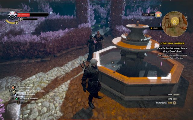 The glass which you will put in Iris hand - The Witcher 3: Scenes From a Marriage - The Witcher 3: Main quests - The Witcher 3 Wild Hunt Guide