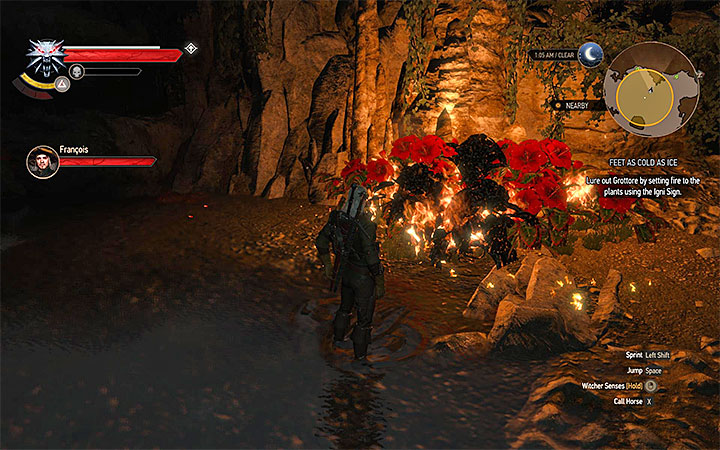 Keep burning the plants - Feet As Cold As Ice - grottore contract - Witcher contracts and Treasure hunts quests - The Witcher 3: Blood and Wine Game Guide