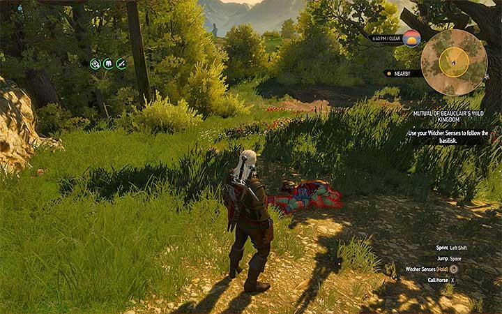 The place where you find the second merchant - Mutual of Beauclairs Wild Kingdom - silver basilisk contract - Witcher contracts and Treasure hunts quests - The Witcher 3: Blood and Wine Game Guide