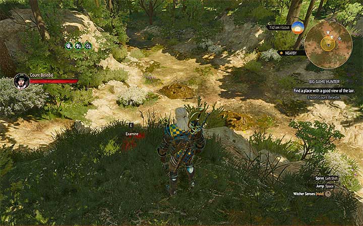 Soon you will reach the lair of the giant centipedes - Big Game Hunter - Count Beledals contract - Witcher contracts and Treasure hunts quests - The Witcher 3: Blood and Wine Game Guide