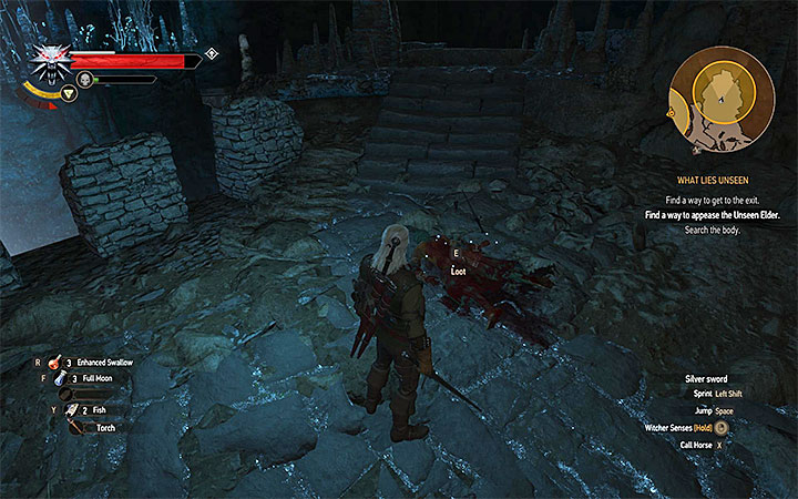 Walk slightly further in order to watch a cutscene - What Lies Unseen - meeting with the Unseen Elder quest - Main quests - The Witcher 3: Blood and Wine Game Guide