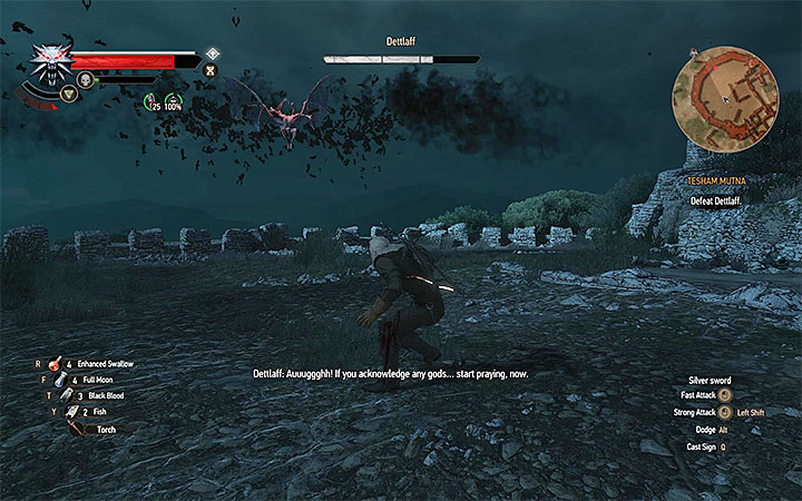 Prepare yourself well for the airstrike of the bats - Tesham Mutna - the final confrontation with Dettlaff - Main quests - The Witcher 3: Blood and Wine Game Guide