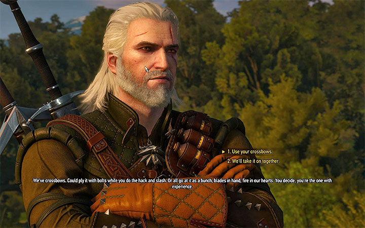 You can determine the battle tactic during the encounter with the Reavers - Side quests and Witcher contracts opponents in The Witcher 3: Blood and Wine - All Boss Fights - The Witcher 3: Blood and Wine Game Guide