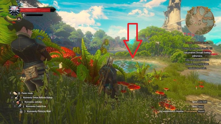 The place where youll find the magic firefly. - Beyond Hill and Dale... - quest about finding Syanna - Main quests - The Witcher 3: Blood and Wine Game Guide