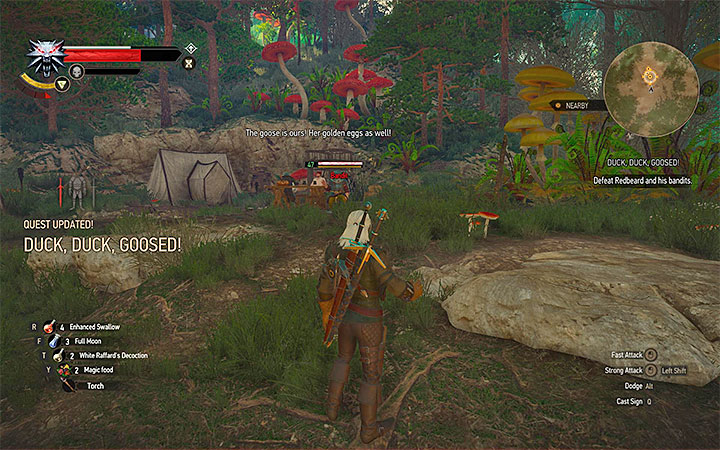 Area where you need to rescue the goose - Beyond Hill and Dale... - quest about finding Syanna - Main quests - The Witcher 3: Blood and Wine Game Guide
