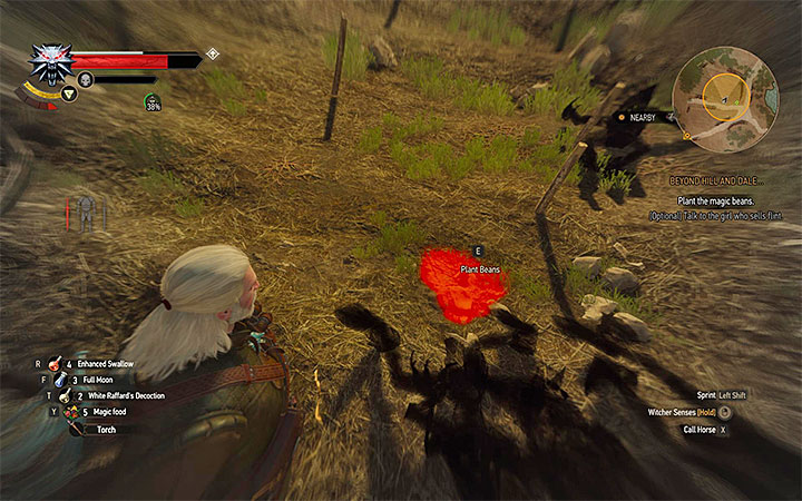 Place where you plant the beans - Beyond Hill and Dale... - quest about finding Syanna - Main quests - The Witcher 3: Blood and Wine Game Guide