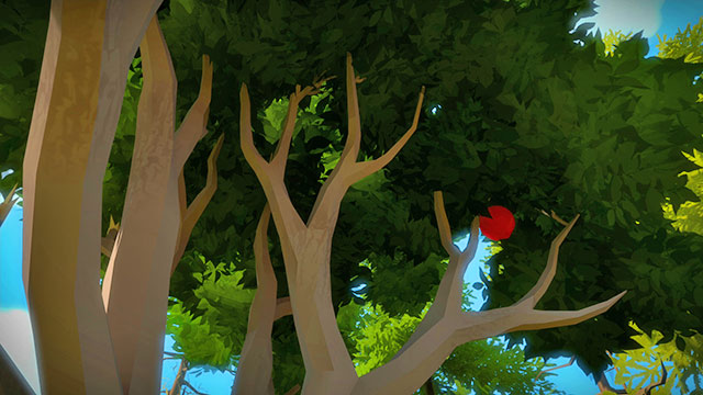 To discover the correct one, look at the tree on the left - Walkthrough | The Town in The Witness - The Town - The Witness Game Guide & Walkthrough