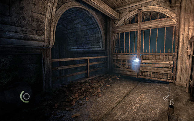 1 - Flowers Eternal - Collectibles - Thief - Game Guide and Walkthrough