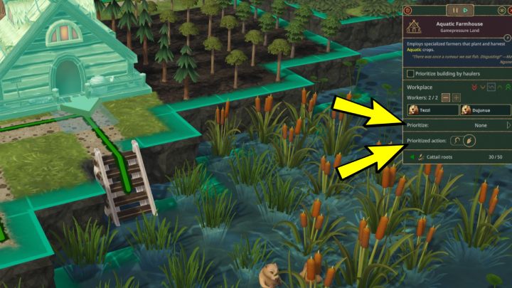 Before the drought begins, it's a good idea to harvest all crops as soon as possible, because the vegetables might wilt just as soon as your main water source dries up - Timberborn: Drought (dry season, gathering resources) - how to survive? - FAQ - Timberborn Guide