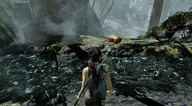 When you approach the kill, there will be a short cut-scene showing the process of collecting meat (reward: 150 XP) - Collect Meet from the Deer | 4: Woman Versus Wild Walkthrough - 4: Woman Versus Wild | Walkthrough - Tomb Raider Game Guide