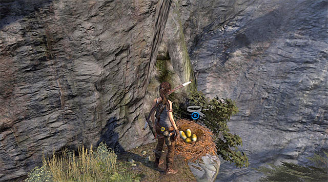 Approach the edge of the shelf and youll find what youre looking for (reward: 10 XP) - Egg Poacher | Collectibles: Mountain Village - Collectibles: Mountain Village - Tomb Raider Game Guide