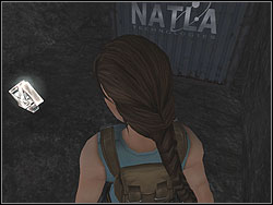 Explore the niche, there is Artefact 2/4 - Natlas Mines 1 | Artefacts and Relics - Artefacts and Relics - Tomb Raider: Anniversary Game Guide & Walkthrough