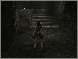 Jump on the next pillar and on the platform - The Lost Valley 2 | Walkthrough - Peru - Tomb Raider: Anniversary Game Guide & Walkthrough