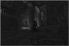 Close to the box and push it into the water - Tomb of Tihocan 1 | Walkthrough - Greece - Tomb Raider: Anniversary Game Guide & Walkthrough