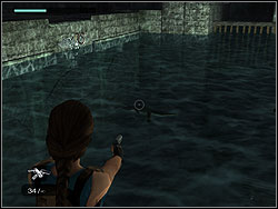 Go to the edge of the pool and look at the water - Tomb of Tihocan 1 | Walkthrough - Greece - Tomb Raider: Anniversary Game Guide & Walkthrough