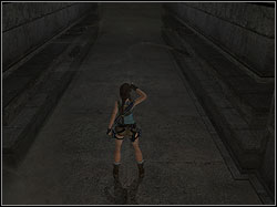 There will be a four movable shields - Obelisk of Khamoon 3 | Walkthrough - Egypt - Tomb Raider: Anniversary Game Guide & Walkthrough