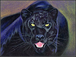 PANTHER - Enemies | Walkthrough - Lost Islands - Tomb Raider: Anniversary Game Guide & Walkthrough