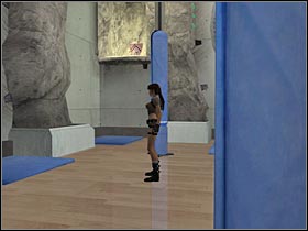 Bronze - 11 - #1 - Once again, I would recommend that you use the grapple - Bonus - Croft Manor | Secrets - Secrets - Tomb Raider: Legend Game Guide & Walkthrough