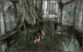 Use the hook with line to jump over the fissure - [Coastal Thailand] - Bhogavathi - part 3 - Coastal Thailand - Tomb Raider: Underworld - Game Guide and Walkthrough