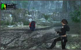 6 - [Southern Mexico] - The Unnamed Days - Southern Mexico - Tomb Raider: Underworld - Game Guide and Walkthrough