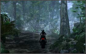 Jump on the ground and kill the cat - [Southern Mexico] - The Unnamed Days - Southern Mexico - Tomb Raider: Underworld - Game Guide and Walkthrough