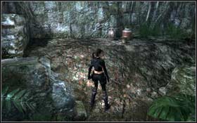 [77] On the left side - [Secrets] Southern Mexico - The Unnamed Days - Southern Mexico - Tomb Raider: Underworld - Game Guide and Walkthrough