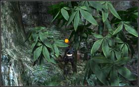 [81] In the same corridor, at the end, behind the plants - [Secrets] Southern Mexico - Xibalba - Southern Mexico - Tomb Raider: Underworld - Game Guide and Walkthrough