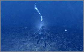 [151] In the ditch separating the fortress from the statues - [Secrets] Arctic Sea - Helheim - part 1 - Arctic Sea - Tomb Raider: Underworld - Game Guide and Walkthrough