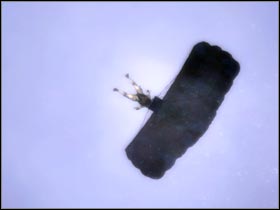 The first objective of this mission will be to retrieve some of your main equipment - Mission 4.1 [Sea of Okhotsk] - Walkthrough - Tom Clancys Splinter Cell: Double Agent - Game Guide and Walkthrough