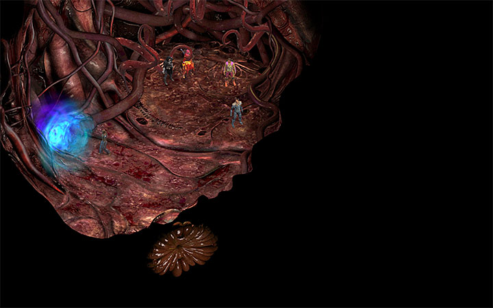 Go thought the portal to leave the Heart - Into the Depths - main quest walkthrough | Bloom Heart - Bloom: Bloom Heart - Torment: Tides of Numenera Game Guide