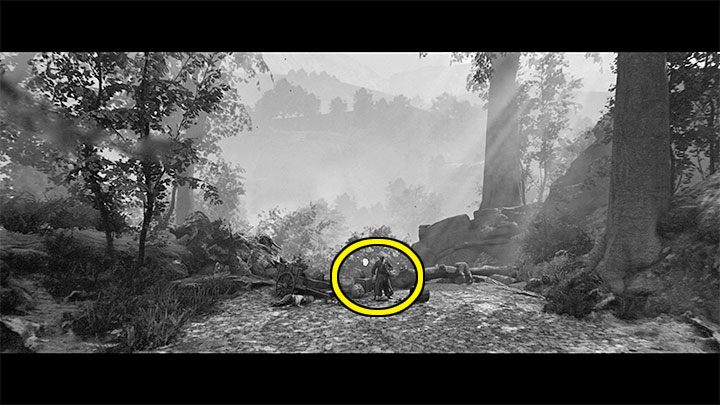 Before you start the travel, check the left viewpoint adjacent to the recent battlefield - it is shown in the picture above - Trek to Yomi: Chapter 2 - walkthrough - Walkthrough - Trek to Yomi Guide