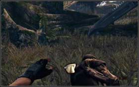 9 - The Lost Land - Walkthrough - Turok - Game Guide and Walkthrough