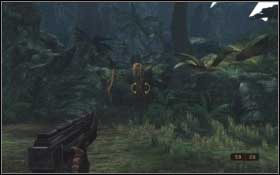 Cross the water and use the