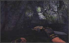 Get through the caves and face the T-Rex - Mother Superior - Walkthrough - Turok - Game Guide and Walkthrough