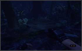 Judging by a time of day - you had to be unconscious for a few hours - Mother Superior - Walkthrough - Turok - Game Guide and Walkthrough