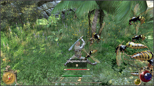 After you give the speech about monsters in [Science Career], you will be waylaid by Professor Apis, who will offer you a science grant - Science Grant, Expelled Mage | Quests - Mages Guild - Quests - Mages Guild - Two Worlds II Game Guide