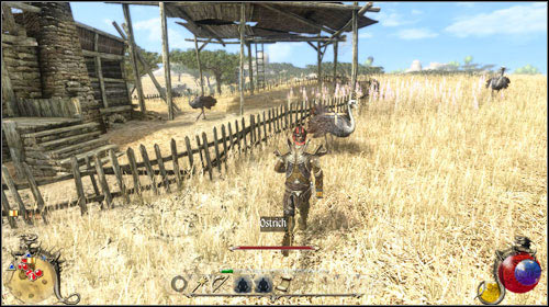 The mission consists of getting rid of the ostriches surrounding the mans house, whos therefore locked inside the basement with his daughter (shes allergic to feathers) - Ostrich feathers, Science Career | Quests - Mages Guild - Quests - Mages Guild - Two Worlds II Game Guide