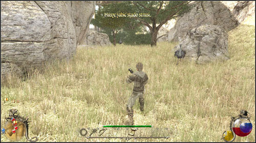 The village is suffering of starvation, the villagers even began eating horses - Veterinarian practice | Quests - Bayan - Quests - Bayan - Two Worlds II Game Guide