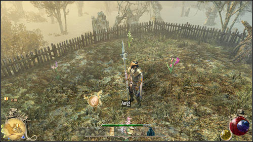 This mission is a continuation of choosing to listen to Nalia in [Witch Hunt] - The Old Spell, Nalias Garden & The Aniseed Plant | Main quests - Chapter III - Main quests - Chapter III - Two Worlds II Game Guide