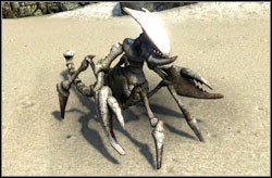 Giant Scorpion / Tar Scorpion - Monsters | Bestiary - Bestiary - Two Worlds II Game Guide