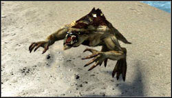 Werebeast - Monsters | Bestiary - Bestiary - Two Worlds II Game Guide