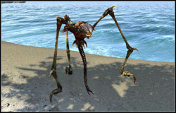 Stinger / Alpha Stinger - Monsters | Bestiary - Bestiary - Two Worlds II Game Guide