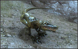 Drakonai - Monsters | Bestiary - Bestiary - Two Worlds II Game Guide