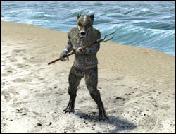 Varn / Varn Shaman - Humanoid | Bestiary - Bestiary - Two Worlds II Game Guide