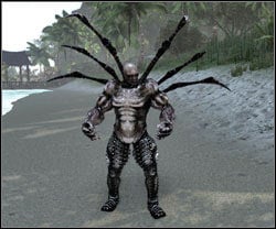 Phantom - Humanoid | Bestiary - Bestiary - Two Worlds II Game Guide